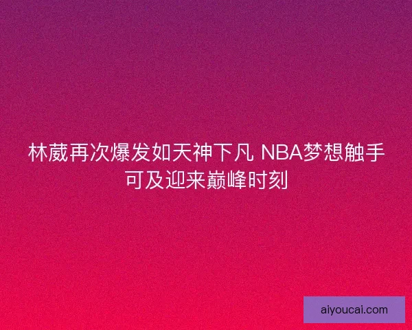 林葳再次爆发如天神下凡 NBA梦想触手可及迎来巅峰时刻